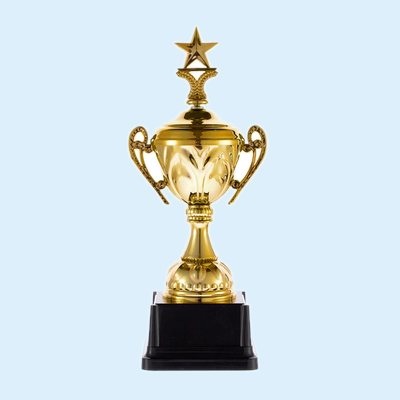 Кубок Top Star