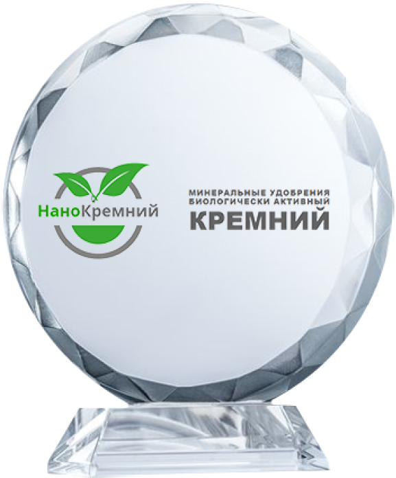 Стела